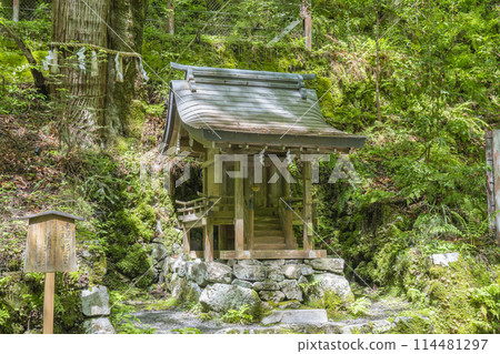 Kifune Shrine Okumiya Hiyoshisha Shrine and the Intertwined Cedars 114481297