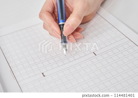 Woman's hand holding a fountain pen and manuscript paper 114481401