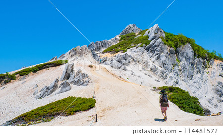 Summer climbing of Mt. Tsubaku (Tsubame-dake - summit of Mt. Tsubaku) 114481572