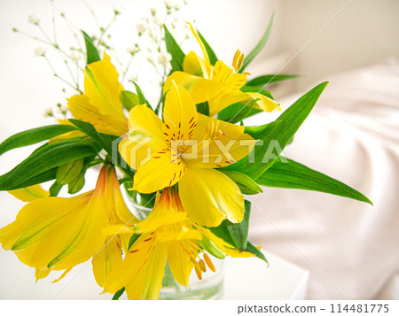 Interior green flower bouquet 114481775