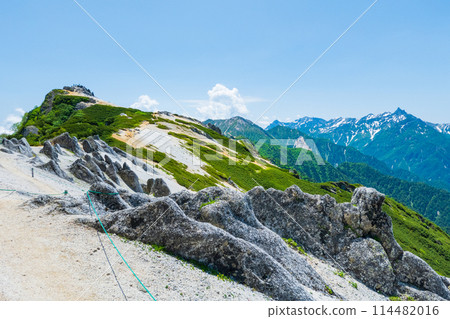 夏季攀登椿山(從椿山到北欏山:眺望椿山、大天陽山、穗高山連峰、矢裡岳) 夏季攀登椿山(從椿山到北欏山:眺望椿山、大天陽山、穗高山連峰、矢裡岳) 114482016
