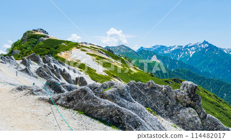 夏季攀登椿山（從椿山到北欏山：眺望椿山、大天陽山、穗高山連峰、矢裡岳） 114482017