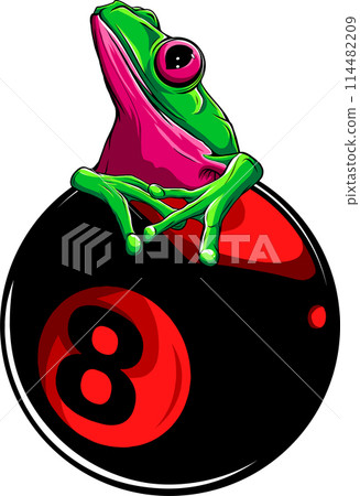 vector illustration of frog on white background vector illustration of frog on white background 114482209