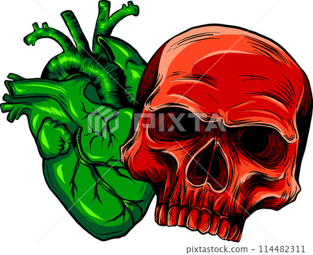vector illustration of skull with heart on white background vector illustration of skull with heart on white background 114482311