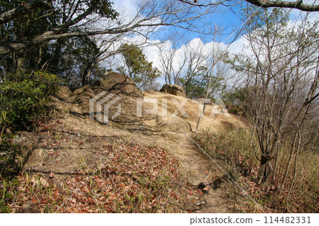 兵庫縣立高山森林公園 114482331