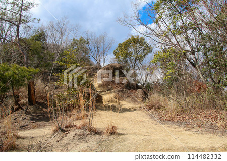 兵庫縣立高山森林公園 114482332