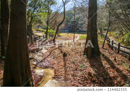 Hyogo Prefectural Kabutoyama Forest Park Hyogo Prefectural Kabutoyama Forest Park 114482335