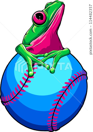 vector illustration of baseball ball opn white background vector illustration of baseball ball opn white background 114482357