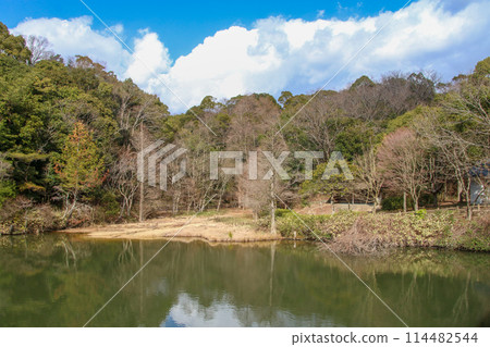 兵庫縣立高山森林公園 114482544