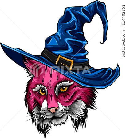 Halloween Illustration of a Cat Dressed as a Witch 114482852
