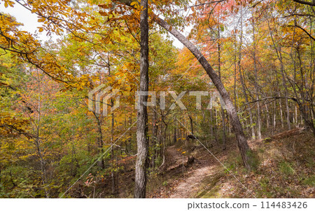 Sunny view of the beautiful fall color of Hobbs State Park-Conservation Area Sunny view of the beautiful fall color of Hobbs State Park-Conservation Area 114483426