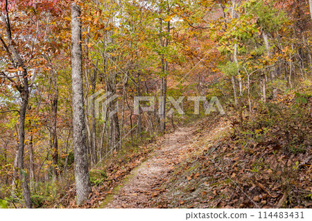 Sunny view of the beautiful fall color of Hobbs State Park-Conservation Area Sunny view of the beautiful fall color of Hobbs State Park-Conservation Area 114483431