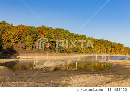 Sunny view of the beautiful fall color of Hobbs State Park-Conservation Area Sunny view of the beautiful fall color of Hobbs State Park-Conservation Area 114483450