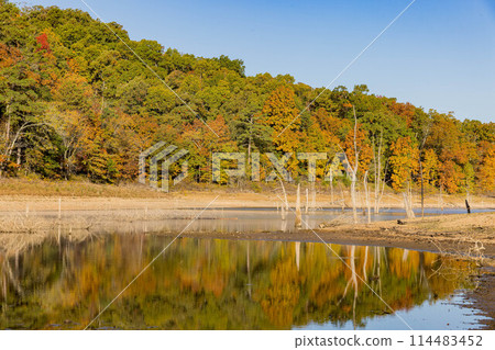 Sunny view of the beautiful fall color of Hobbs State Park-Conservation Area 114483452