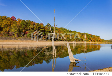 Sunny view of the beautiful fall color of Hobbs State Park-Conservation Area Sunny view of the beautiful fall color of Hobbs State Park-Conservation Area 114483457