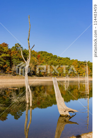 Sunny view of the beautiful fall color of Hobbs State Park-Conservation Area 114483459