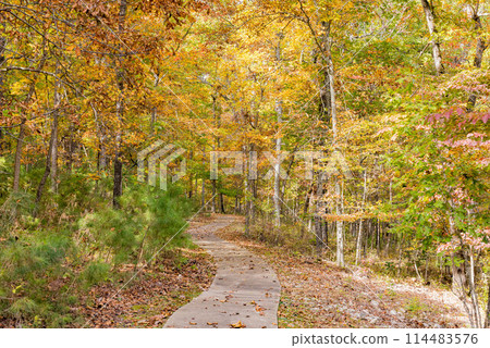 Sunny view of the beautiful fall color of Hobbs State Park-Conservation Area 114483576