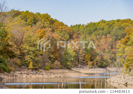 Sunny view of the beautiful fall color of Hobbs State Park-Conservation Area Sunny view of the beautiful fall color of Hobbs State Park-Conservation Area 114483613
