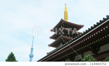 Scenery of the Asakusa area in Taito Ward, Tokyo (five-story pagoda) 114483732
