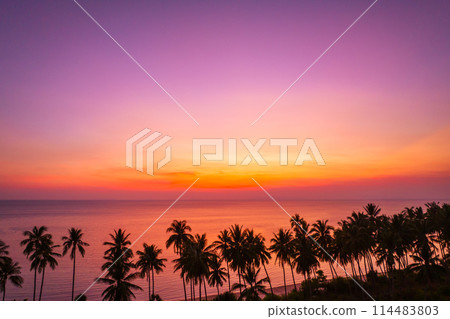 Beautiful sunset on a tropical paradise beach. Tropical sunset with palm tree silhouette. Beautiful sunset on a tropical paradise beach. Tropical sunset with palm tree silhouette. 114483803