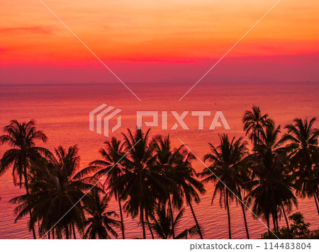 Palm Trees Silhouettes On Tropical Beach At Sunset. 114483804