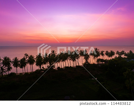 Beautiful sunset on a tropical paradise beach. Tropical sunset with palm tree silhouette. 114483812