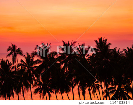 Beautiful sunset on a tropical paradise beach. Tropical sunset with palm tree silhouette. Beautiful sunset on a tropical paradise beach. Tropical sunset with palm tree silhouette. 114483814