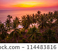 beautiful tropical beach sea and ocean with coconut palm tree at sunrise time 114483816