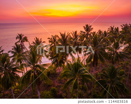 beautiful tropical beach sea and ocean with coconut palm tree at sunrise time 114483816