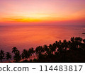 Beautiful sunset on a tropical paradise beach. Tropical sunset with palm tree silhouette. 114483817