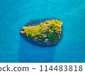Aerial drone top view photo of small exotic atoll island. Top view of a small green island in the blue sea, ocean.  114483818