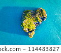 aerial view of sea and beach with coconut palm tree 114483827