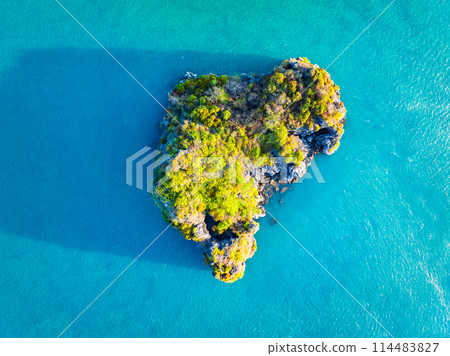 aerial view of sea and beach with coconut palm tree aerial view of sea and beach with coconut palm tree 114483827