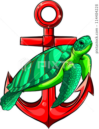 vector illustration of sea turtle on white background. digital draw vector illustration of sea turtle on white background. digital draw 114484228