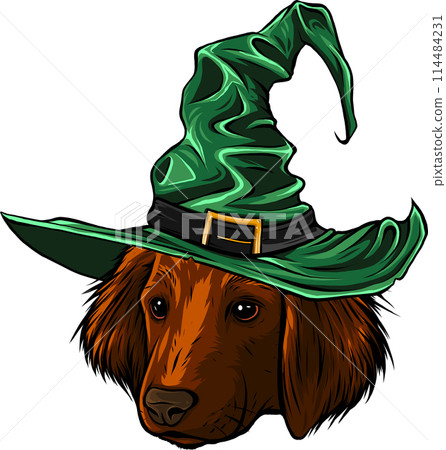 Puppy of a golden labrador retriever. Dog portrait. Vector illustration on white background Puppy of a golden labrador retriever. Dog portrait. Vector illustration on white background 114484231