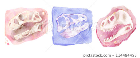 Fossil of Tyrannosaurus rex skull dinosaur in rock . Watercolor paint design . Illustration . 114484453