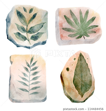 Fossil of plant in rock . Watercolor paint design . Illustration . 114484456