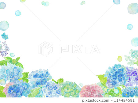 June hydrangea background painted with watercolors 114484591