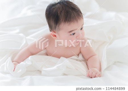 裸寶寶/0歲 114484899