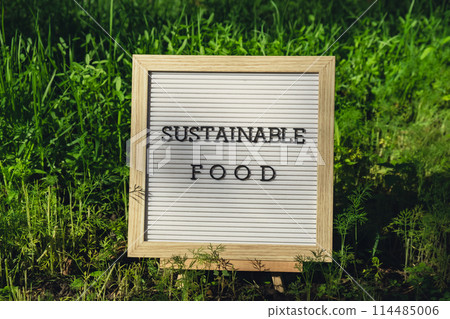 SUSTAINABLE FOOD message on background of fresh eco-friendly bio grown green herb dill in garden. Countryside food production concept. Locally produce harvesting. Sustainability SUSTAINABLE FOOD message on background of fresh eco-friendly bio grown green herb dill in garden. Countryside food production concept. Locally produce harvesting. Sustainability 114485006