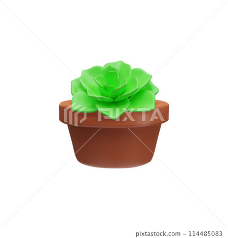 3D vector illustration with a green succulent echeveria plant on a white background, 3D vector illustration with a green succulent echeveria plant on a white background, 114485083