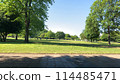Musashi-Kokubunji Park is filled with greenery and grass on a cloudless, clear day 114485471