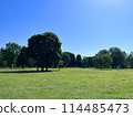 Musashi-Kokubunji Park is filled with greenery and grass on a cloudless, clear day 114485473