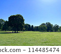 Musashi-Kokubunji Park is filled with greenery and grass on a cloudless, clear day 114485474
