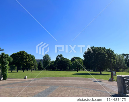 Musashi-Kokubunji Park is filled with greenery and grass on a cloudless, clear day 114485475