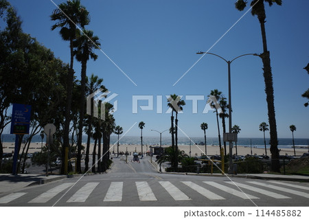 可以看到大海的城市 可以看到大海的城市 114485882