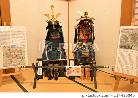 Tiger's Room in the Daishoin Hall of Sasayama Castle (Tamba Sasayama City, Hyogo Prefecture) Tiger's Room in the Daishoin Hall of Sasayama Castle (Tamba Sasayama City, Hyogo Prefecture) 114486046