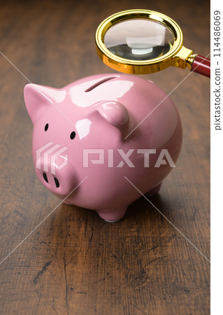 Pig money box and magnifying glass 114486069
