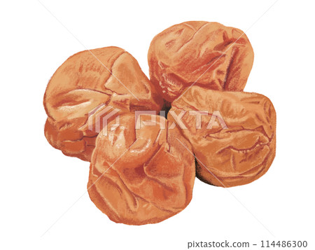 4顆醃李子(無盤) 4顆醃李子(無盤) 114486300