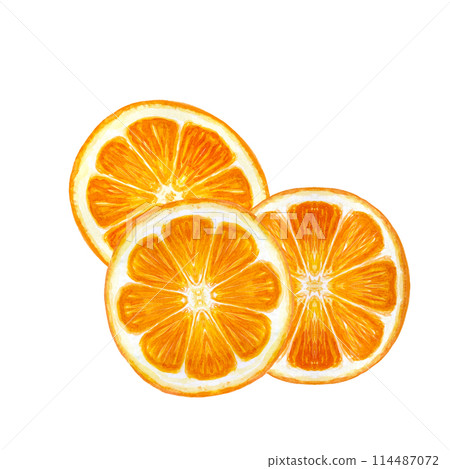 Orange fruit, mandarine slice watercolor composition isolated on white background. High quality hand drawn art for food design, packages, restaurant menu, natural organic food, label, logo and decor 114487072